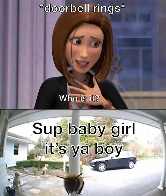 Random-Hilarious-Memes