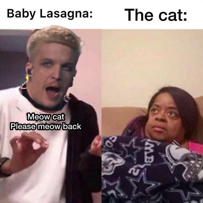 Eurovision 2024 meme features a person saying "Meow cat, please meow back" and woman looking unimpressed.