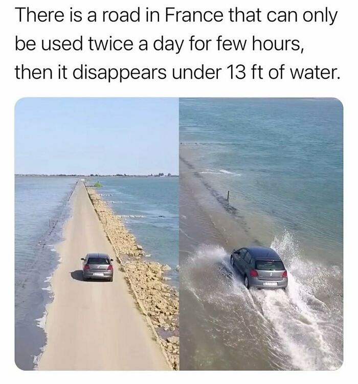 How-Everything-Works-Curiosities-Pics