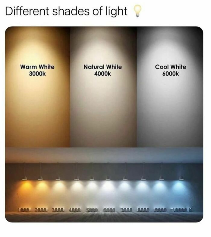 How-Everything-Works-Curiosities-Pics