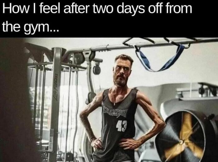 Fitness-Motivation-Funny-Memes
