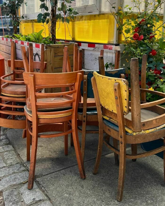 Recycled-Treasure-Stooping-NYC-Pics