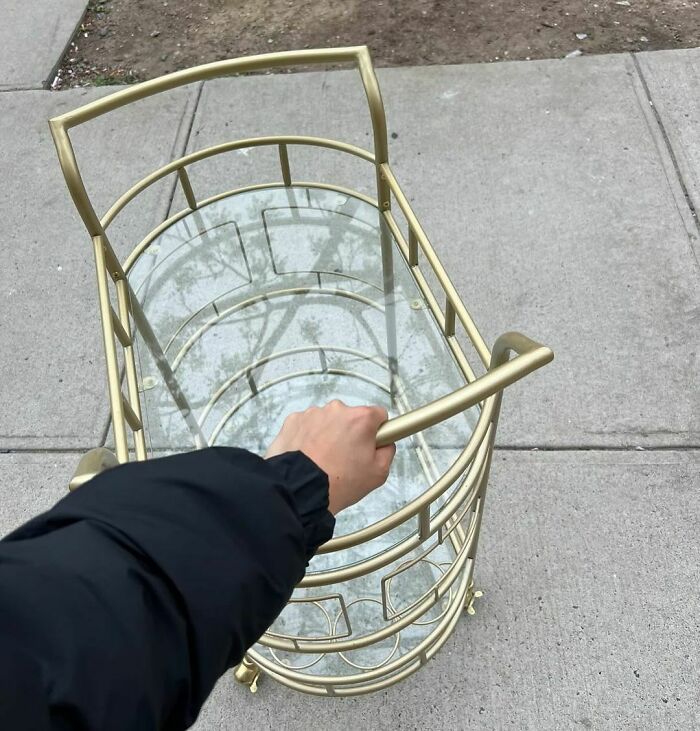 Give It A Great Home! 15 Jackson!