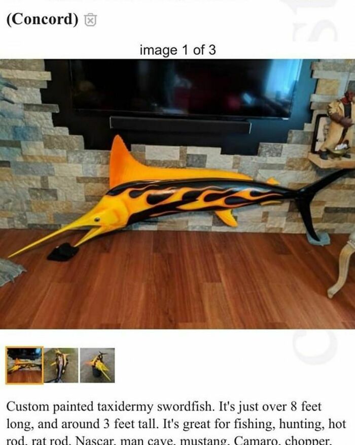 Funny-Weird-Hard-Images