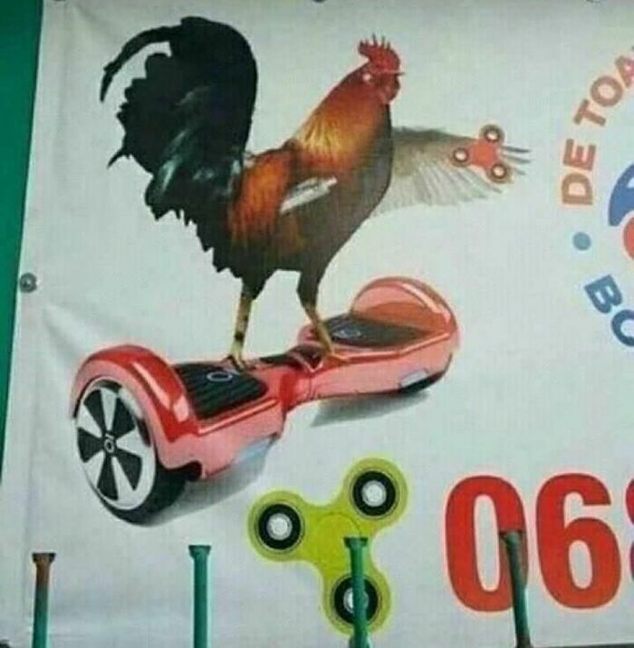 Funny-Weird-Hard-Images