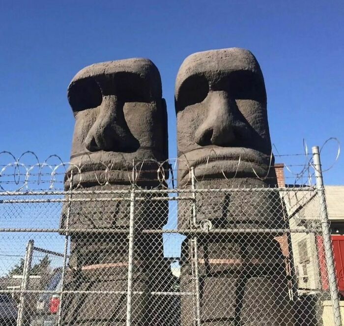 Funny-Weird-Hard-Images