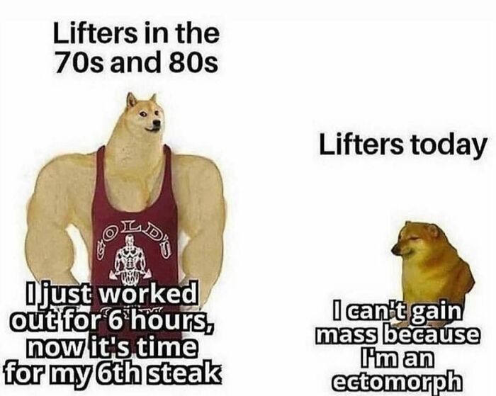 Fitness-Motivation-Funny-Memes