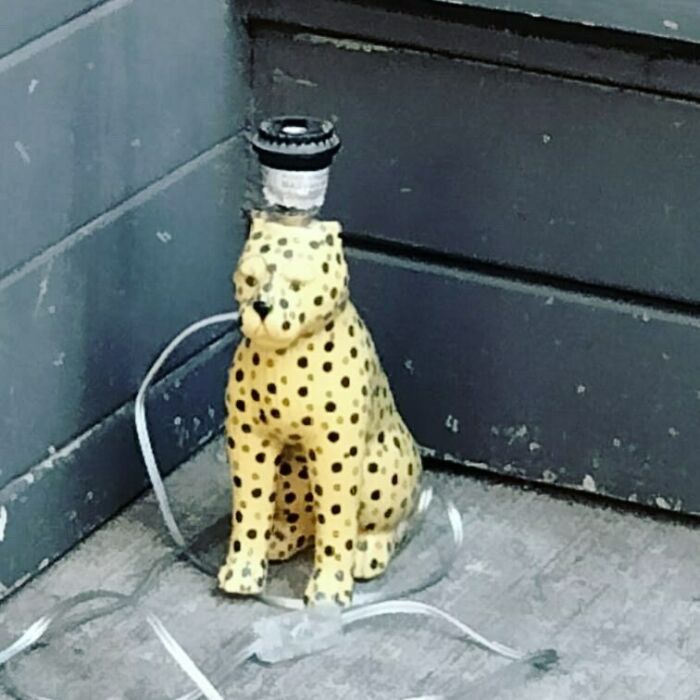 Recycled-Treasure-Stooping-NYC-Pics