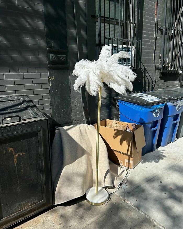 Recycled-Treasure-Stooping-NYC-Pics