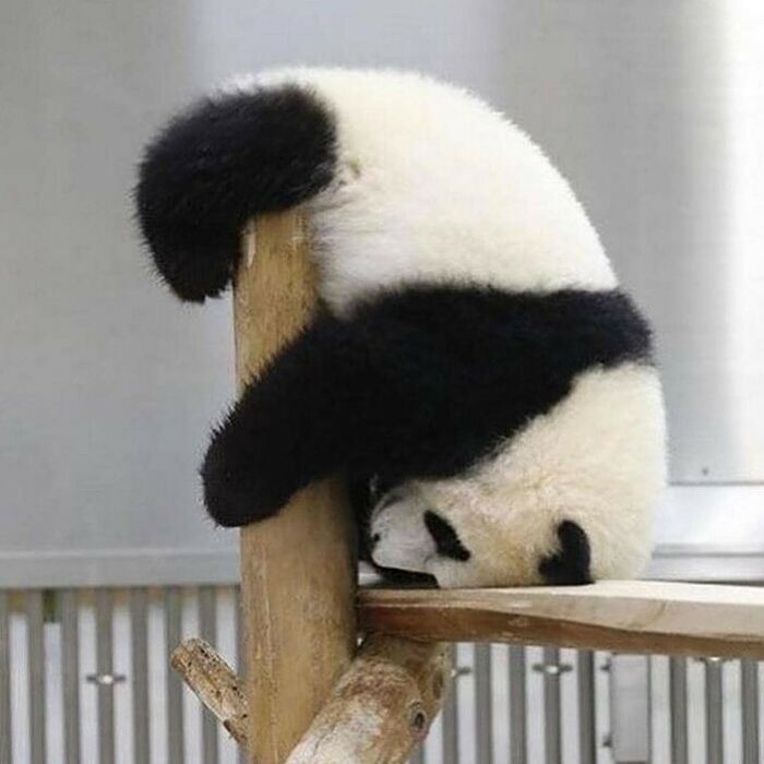 Imagine Not Feeling Alone Every Day