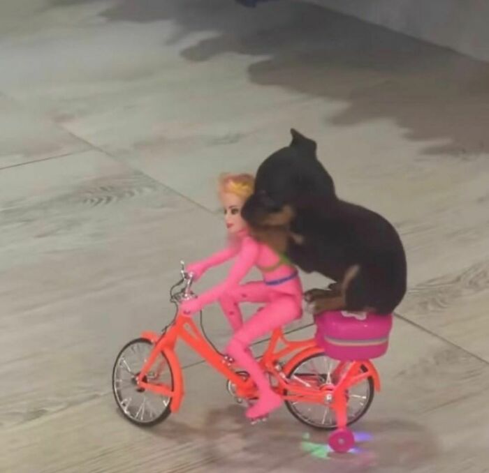 Beep Beep Watch Out New Me Coming Thru