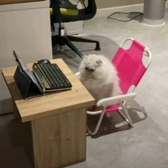 Me Doing My Silly Little Jobs