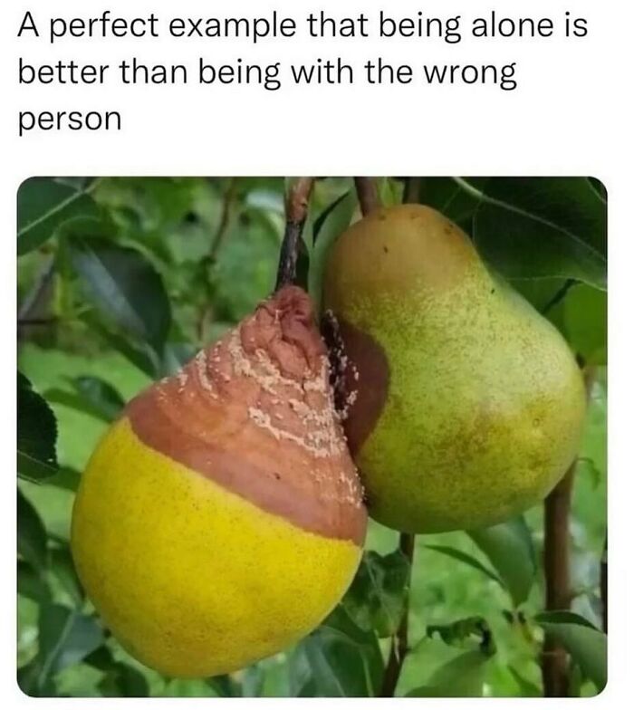 Girl-World-Memes-Girlsprobzz