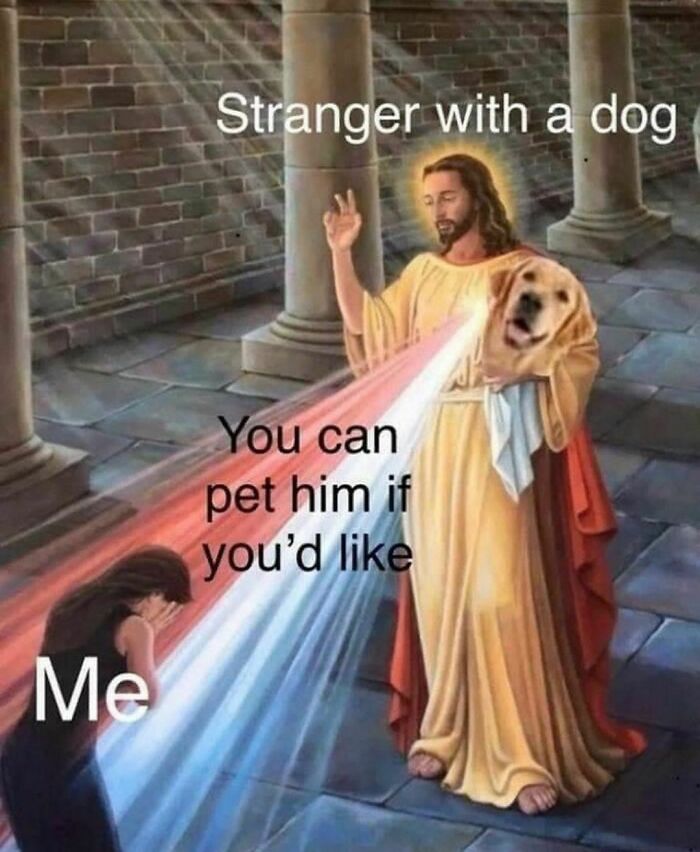 Classical art meme showing a person overwhelmed by beams from a figure holding a dog labeled "Stranger with a dog."