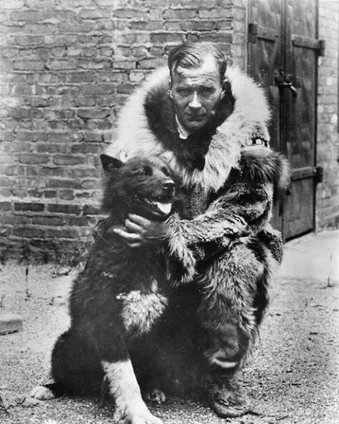 Gunnar Kaasen y su equipo de 13 perros, liderados por el husky siberiano Balto, completaron el último tramo de un viaje en 1925 para entregar 300.000 unidades de antitoxina diftérica a Nome, Alaska, para prevenir un brote. Viajaron de noche a temperaturas de -31 °c