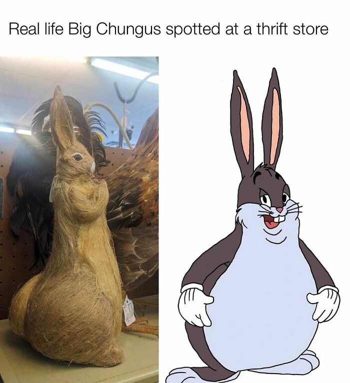 Funny-Thrifting-Jokes