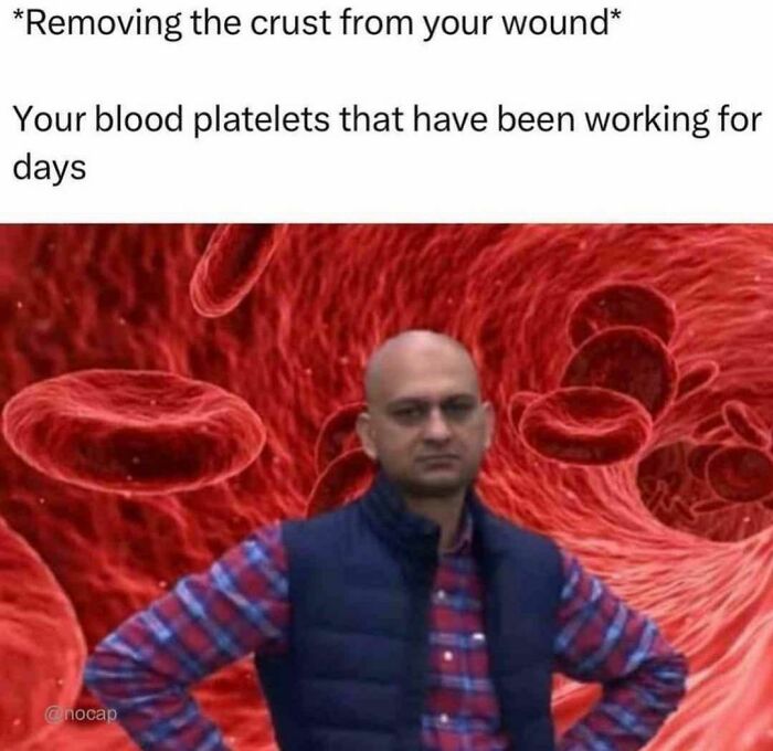 Random-Hilarious-Memes