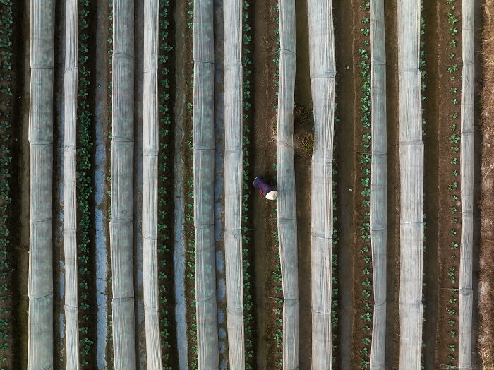 This Photographer Captures The Beauty Of Vietnam (78 Pics)