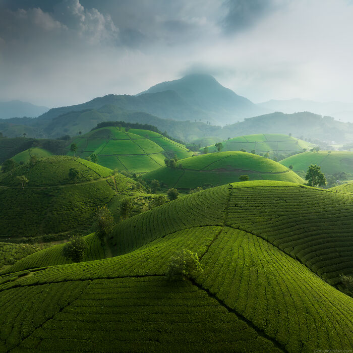 This Photographer Captures The Beauty Of Vietnam (78 Pics)