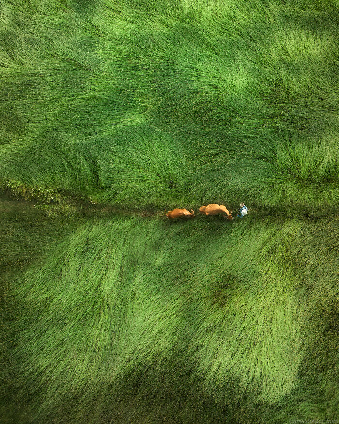 This Photographer Captures The Beauty Of Vietnam (78 Pics)