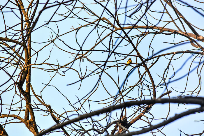 My Way Surrounding Me