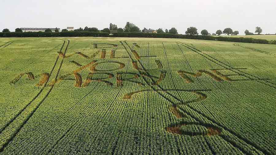 Girlfriend Can&rsquo;t Hold Her Tears Back After Farmer Carves &ldquo;Marry Me&rdquo; Into His Field At Golden Hour
