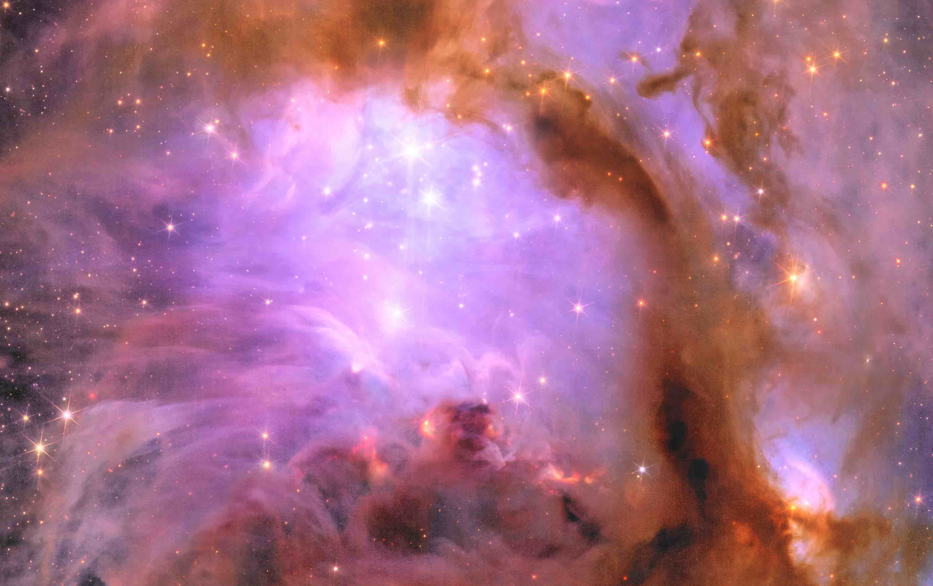 The Euclid Telescope Unveiled 5 New Images Of The Cosmos Using Its 600-Megapixel Camera