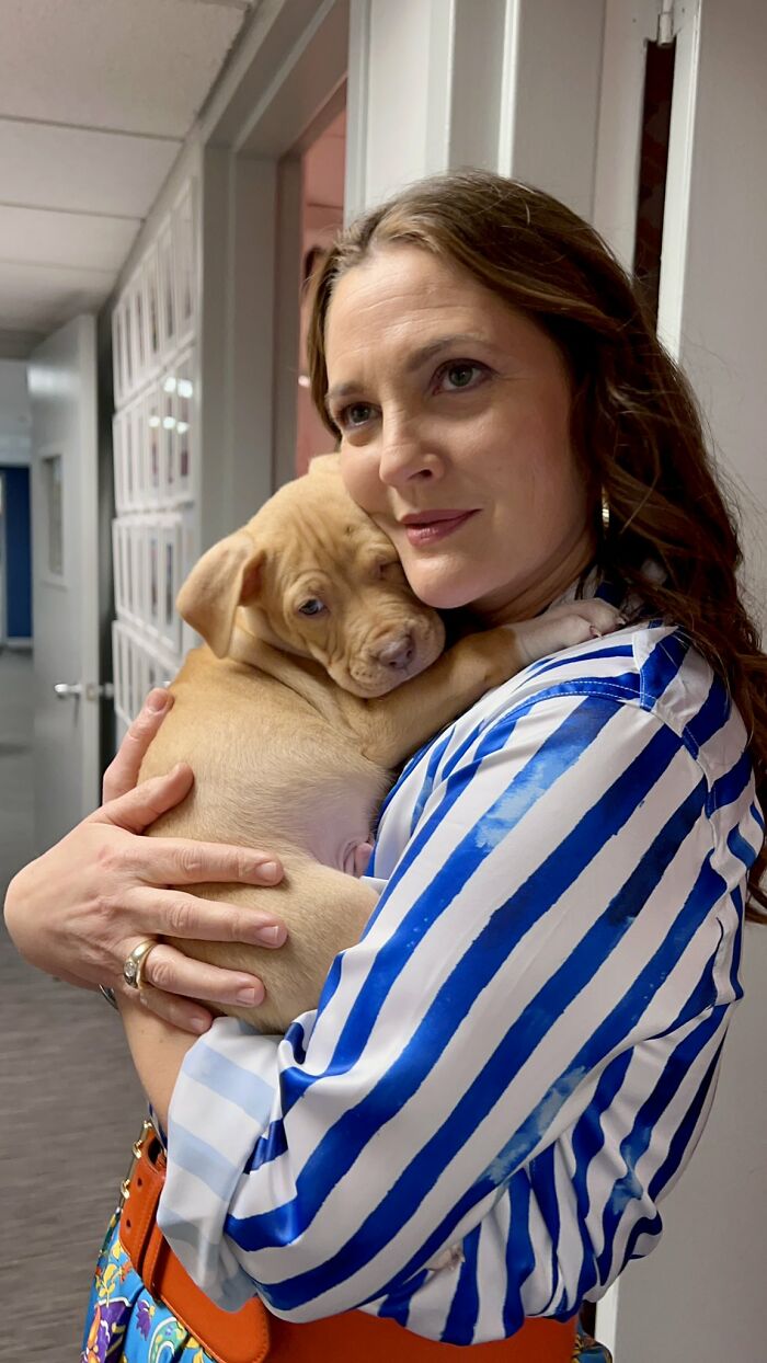 Drew Barrymore Can&rsquo;t Imagine Life Without Her 9 Pets: &ldquo;Love That Is Just So Profound&rdquo;