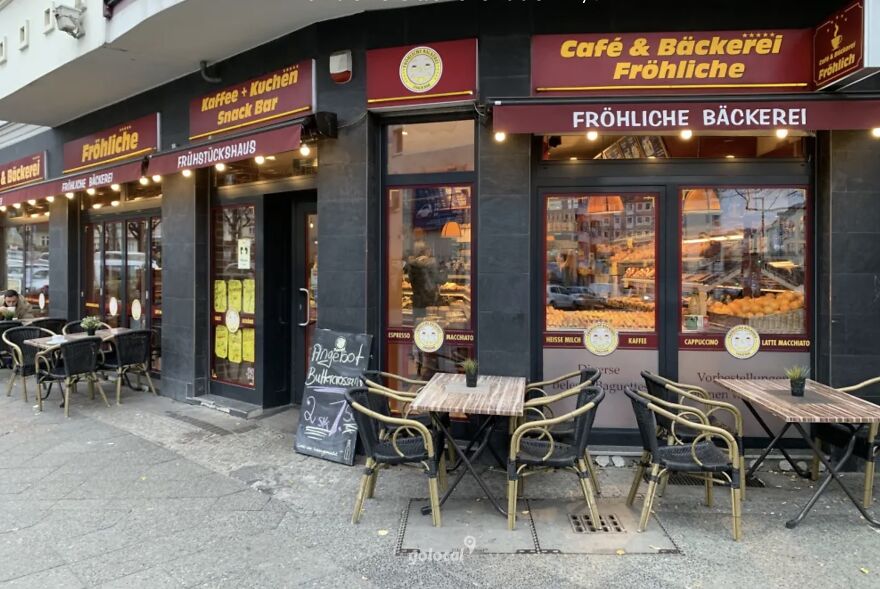 Horse Travels Alone From The Italian Alps To Berlin