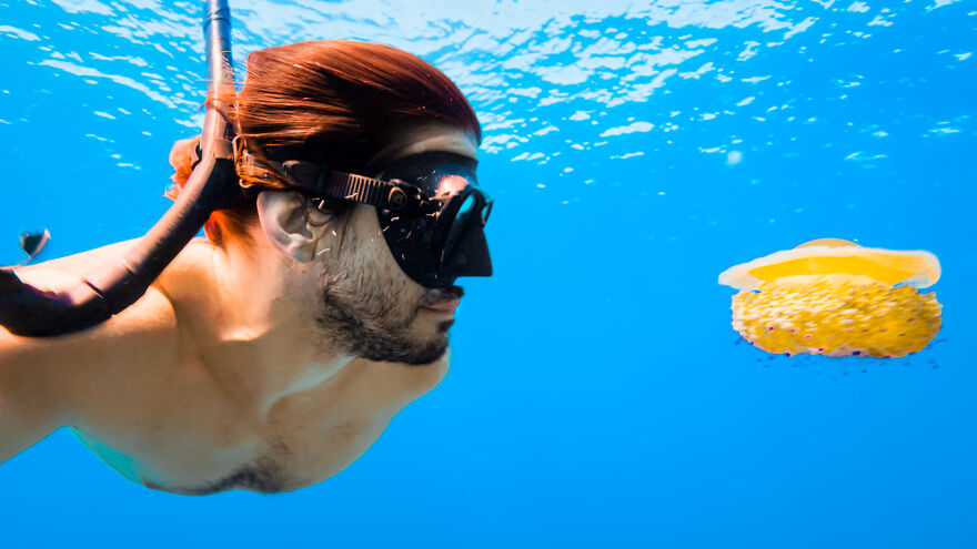 What It Feels Like To Freedive In Croatia Surrounded By Schools Of Fish! (Headphones On)