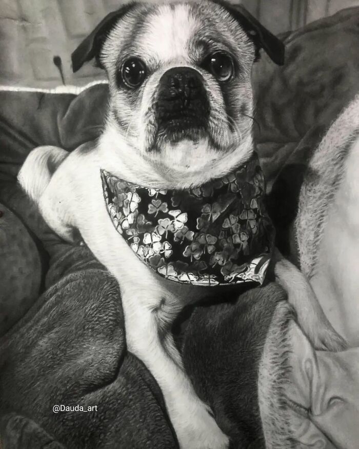 From Charcoal Sketches To Global Fame: The Remarkable Journey Of Dauda Abusali (32 Pics)