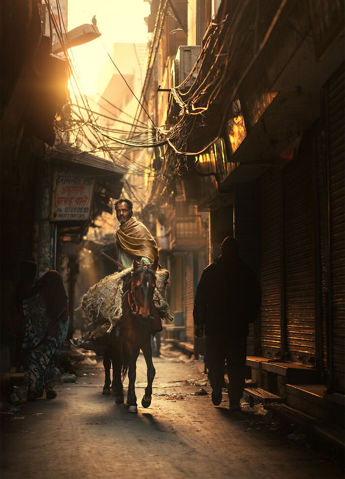 I Chased And Captured People In The Golden Sunlight