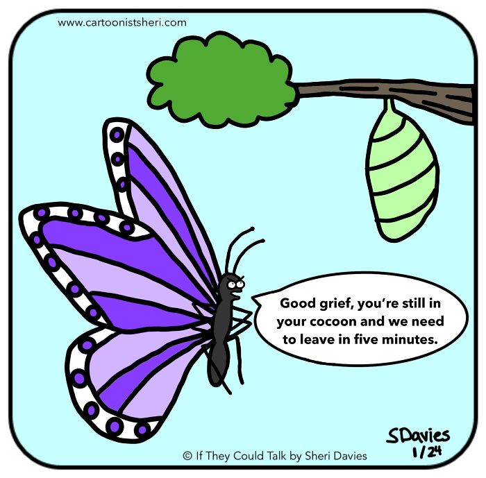 I Spend My Evenings And Weekends Drawing Simple Animal Cartoons And Now I’m Trying To Support Animal Charities