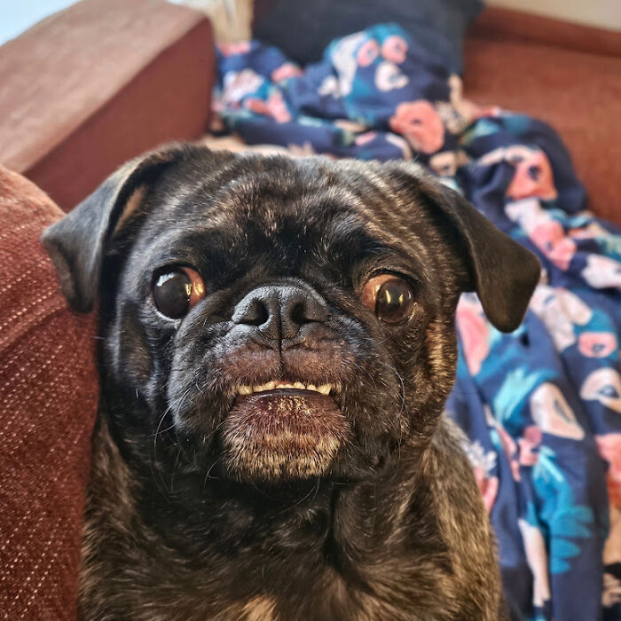 His Name Is Gary...and He's The Best!