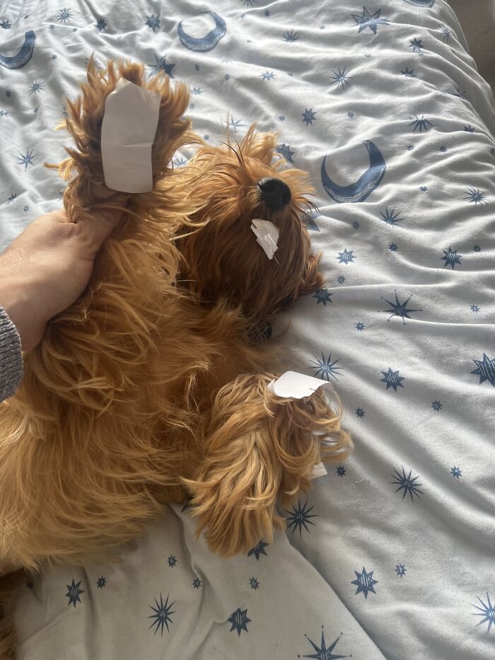 Layla After Finding The Mailing Stickers