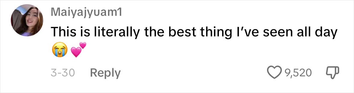 A Dog DNA Test Helps Woman Discover Her Mutt&rsquo;s Entire Family Tree And She&rsquo;s In Tears