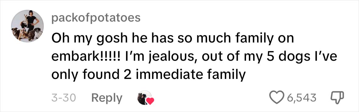 A Dog DNA Test Helps Woman Discover Her Mutt&rsquo;s Entire Family Tree And She&rsquo;s In Tears