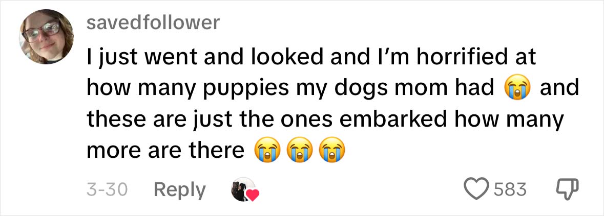 A Dog DNA Test Helps Woman Discover Her Mutt&rsquo;s Entire Family Tree And She&rsquo;s In Tears