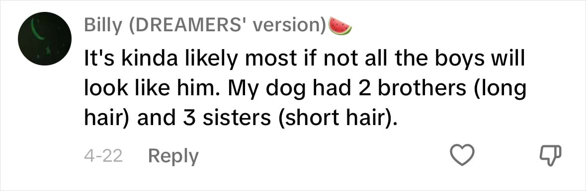 A Dog DNA Test Helps Woman Discover Her Mutt&rsquo;s Entire Family Tree And She&rsquo;s In Tears