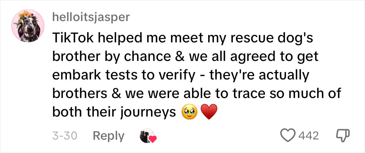 A Dog DNA Test Helps Woman Discover Her Mutt&rsquo;s Entire Family Tree And She&rsquo;s In Tears