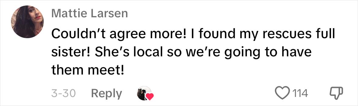 A Dog DNA Test Helps Woman Discover Her Mutt&rsquo;s Entire Family Tree And She&rsquo;s In Tears