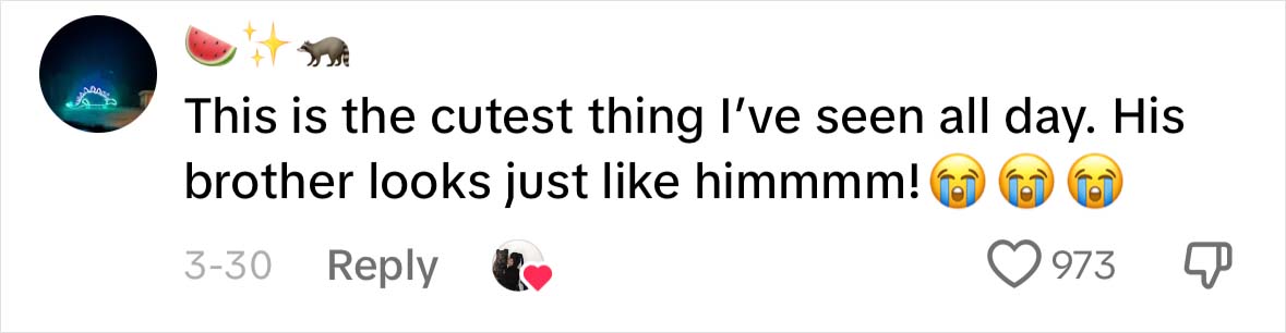 A Dog DNA Test Helps Woman Discover Her Mutt&rsquo;s Entire Family Tree And She&rsquo;s In Tears