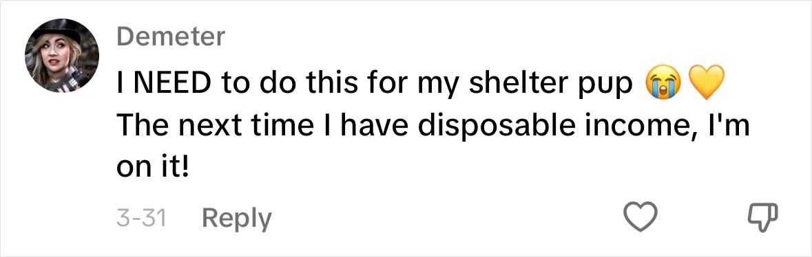 A Dog DNA Test Helps Woman Discover Her Mutt&rsquo;s Entire Family Tree And She&rsquo;s In Tears