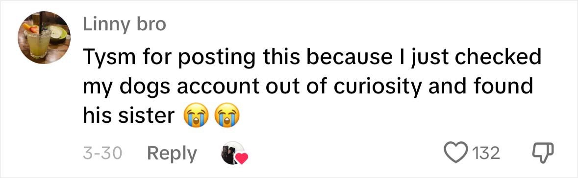 A Dog DNA Test Helps Woman Discover Her Mutt&rsquo;s Entire Family Tree And She&rsquo;s In Tears