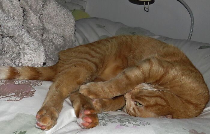 Perfect Pink Beans.🥰