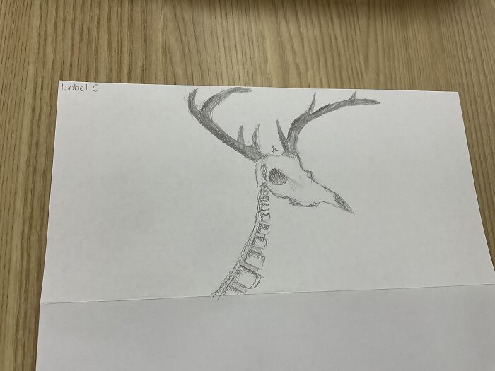 We Were Making Chimeras At School (This Took 20 Minutes Lol)