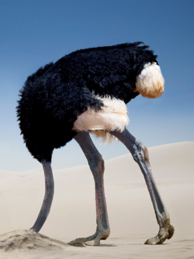 If Only We Could Trade Hindsignt For Foresight