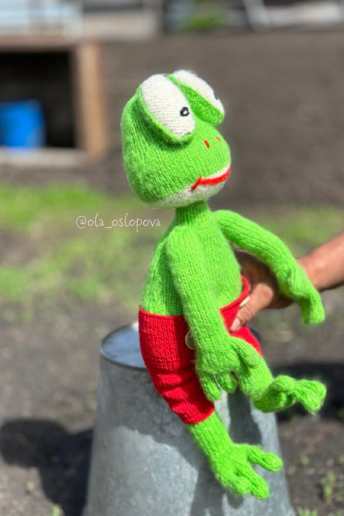 I Am A Toy Designer And This Is The Knitted Frog That I Made