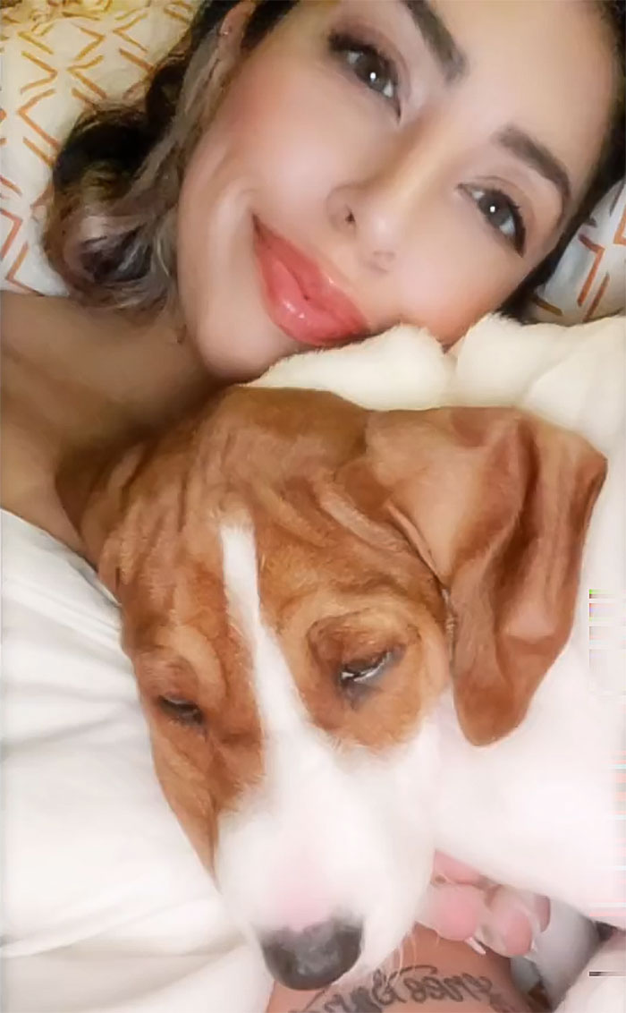 Woman Stunned To Find Her Dog Up For Adoption A Year After She Had Him Put Down Woman Stunned To Find Her Dog Up For Adoption A Year After She Had Him Put Down