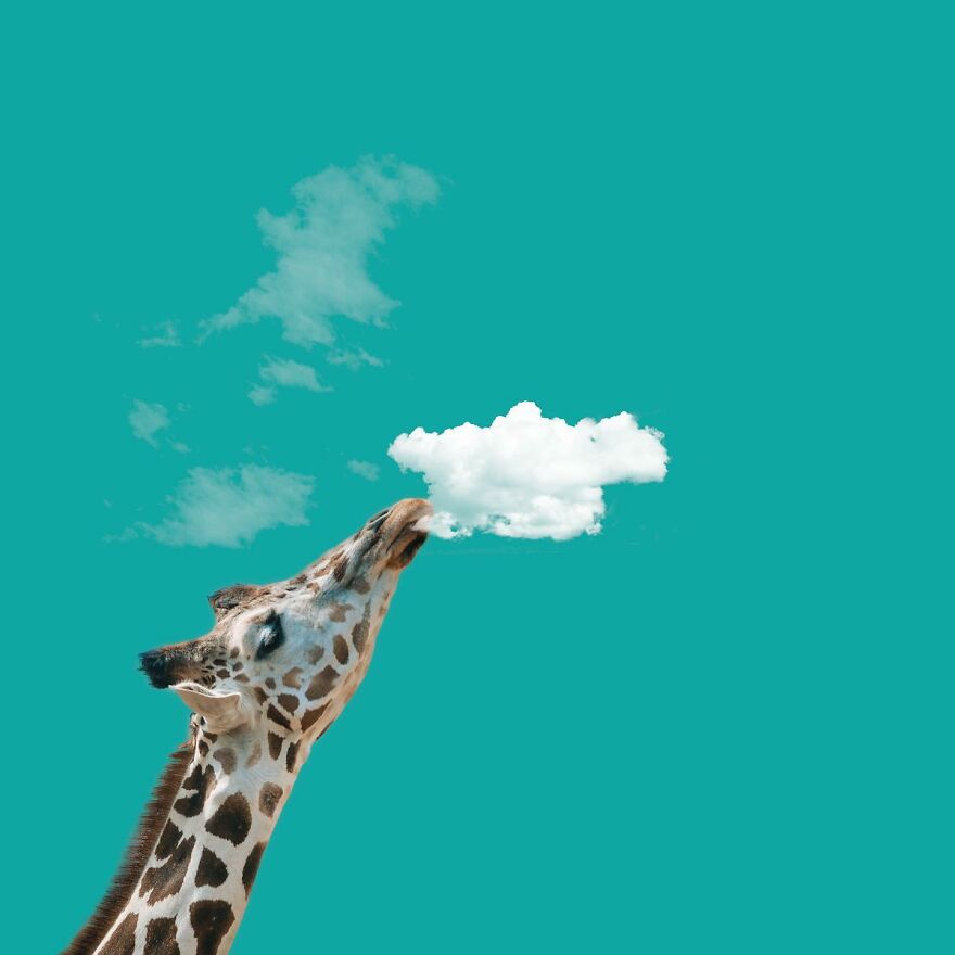 Markus Einspannier's "Usetheclouds",a Decade Of Whimsical Interactions Between People And Clouds